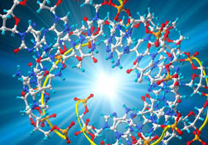 Nucleic Acid